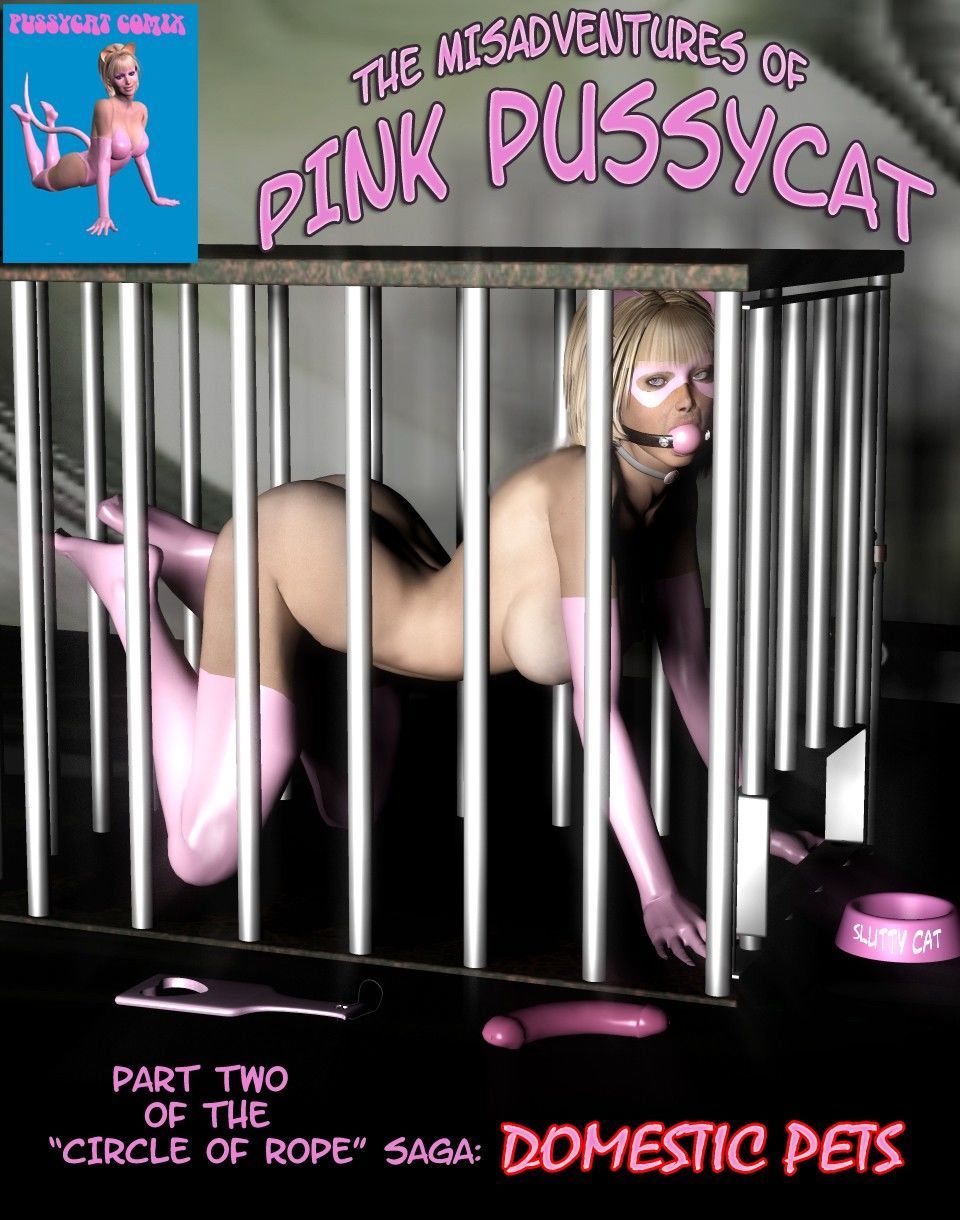 Missgeschicke der rosa pussycat 2