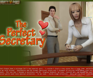 The Perfect Secretary