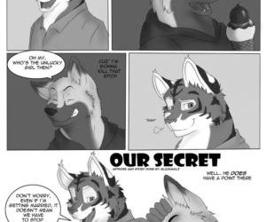 Comics Our Secret, furry  gay & yaoi