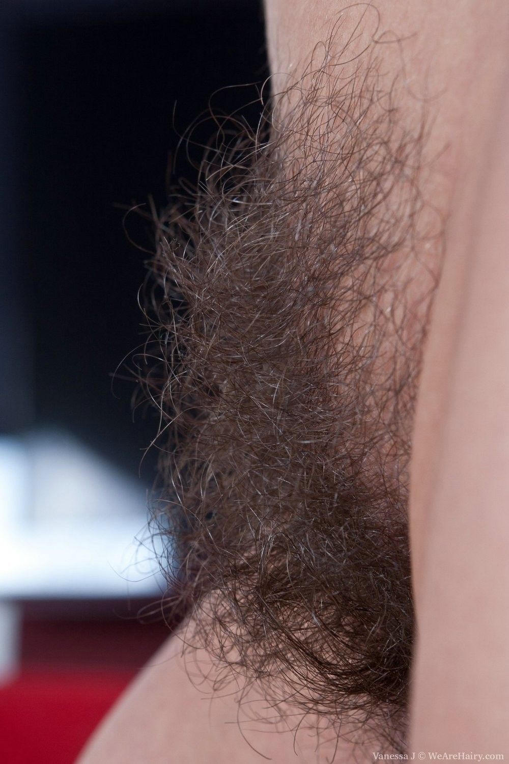 Vanessa j loves to show her incredibly hairy body