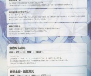 Fate Grand Order material IV - part 6