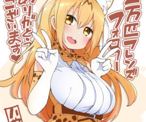 Miwaku нет serval..